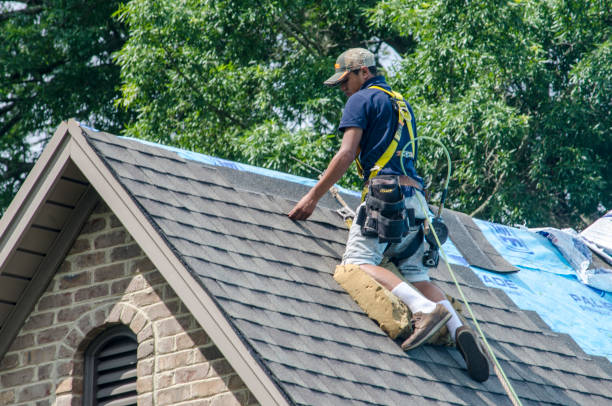 Reliable Clearwater, SC Roofing Contractor Solutions